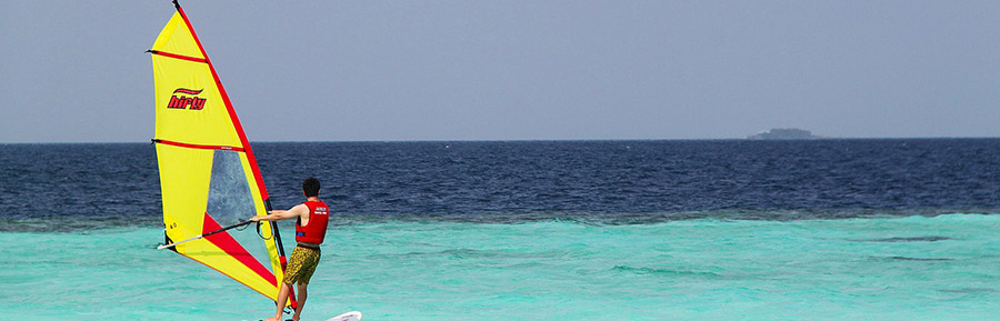 A dedicação é fruto da persistência