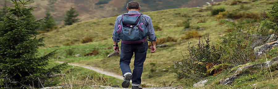 Na estratégia, decisiva é a aplicação